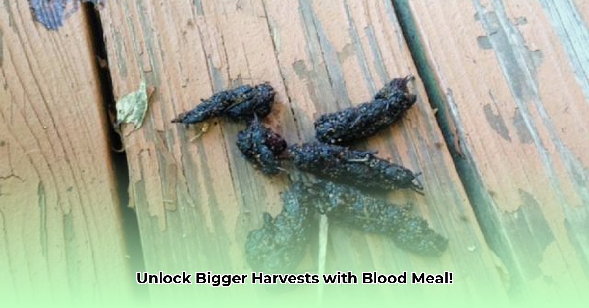 tractor-supply-blood-meal